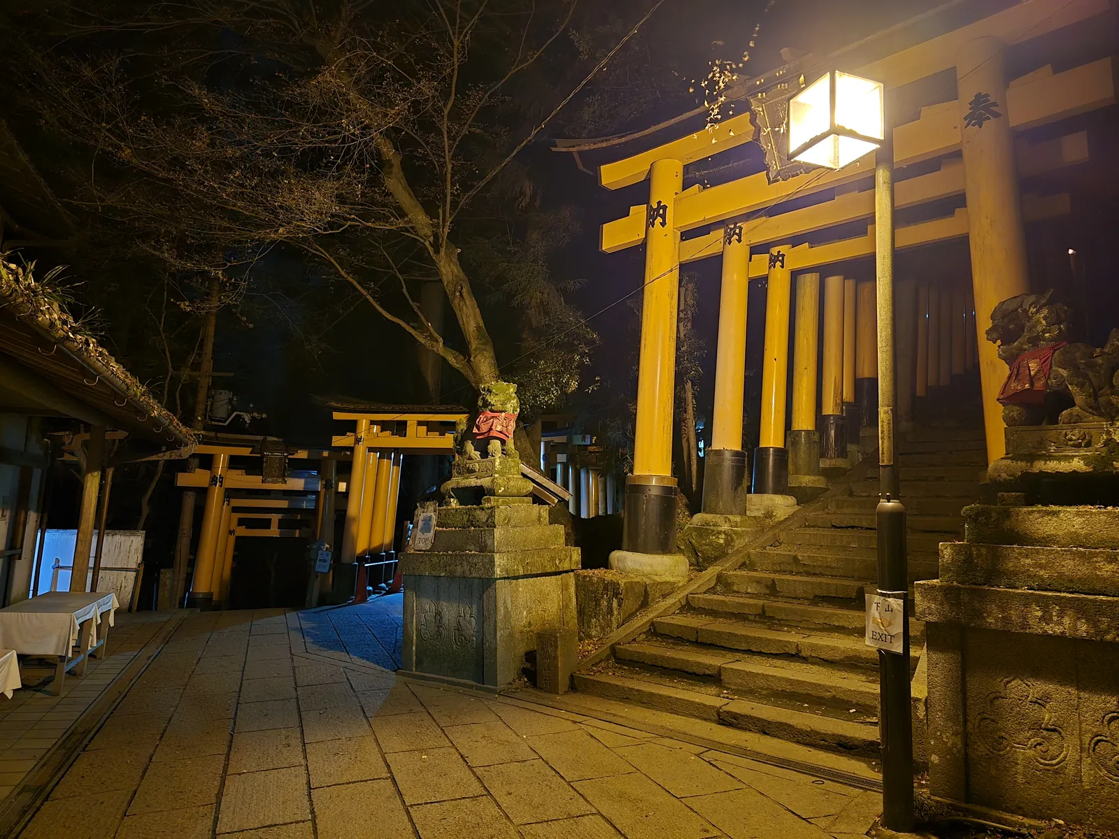 Les torii de Fushimi Inari